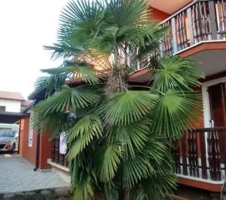 Grosse In Novigrad Mit Schoenem Garten Apartment