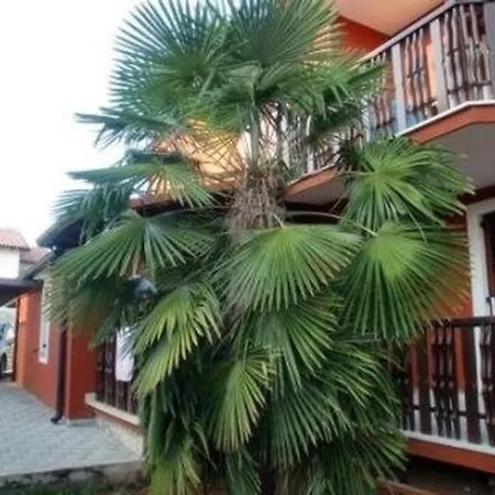 Appartamento Grosse In Novigrad Mit Schoenem Garten
